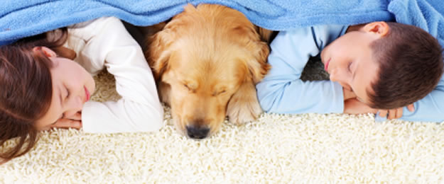 Safest GREEN Carpet Cleaning